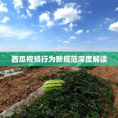 西瓜视频行为新规范深度解读