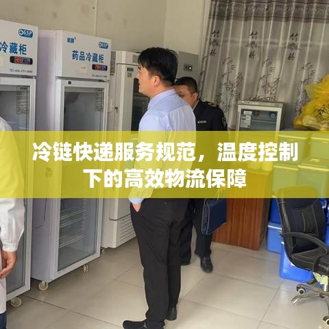 冷链快递服务规范，温度控制下的高效物流保障