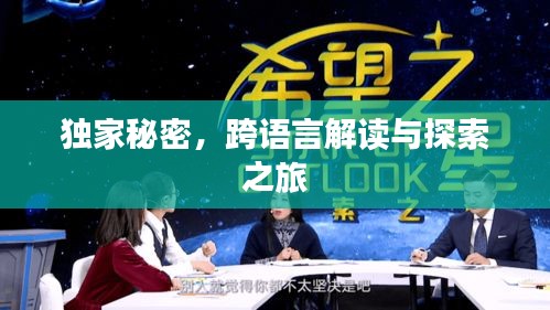 独家秘密，跨语言解读与探索之旅
