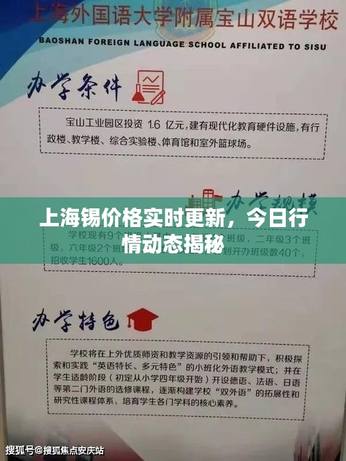 上海锡价格实时更新，今日行情动态揭秘