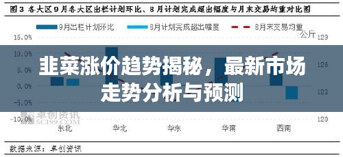 韭菜涨价趋势揭秘，最新市场走势分析与预测