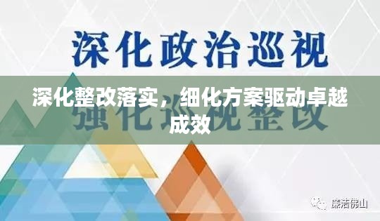 深化整改落实，细化方案驱动卓越成效