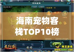 海南宠物客栈TOP10榜单揭晓，宠物爱好者的梦幻归宿！