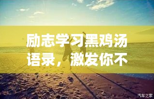 励志学习黑鸡汤语录，激发你不断前行的动力！