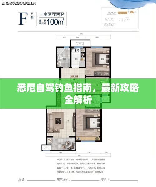 悉尼自驾钓鱼指南，最新攻略全解析
