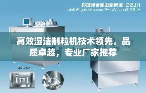 高效湿法制粒机技术领先，品质卓越，专业厂家推荐