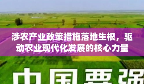 涉农产业政策措施落地生根，驱动农业现代化发展的核心力量