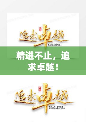 精进不止，追求卓越！