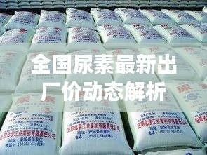 全国尿素最新出厂价动态解析，今日市场走势分析