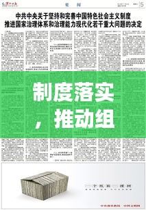 制度落实，推动组织发展的核心力量