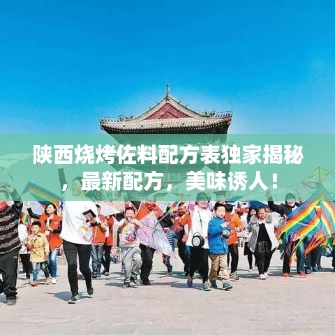 陕西烧烤佐料配方表独家揭秘，最新配方，美味诱人！