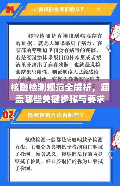 核酸检测规范全解析，涵盖哪些关键步骤与要求