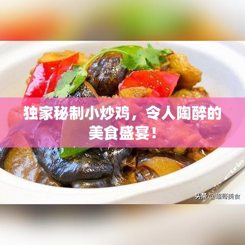 独家秘制小炒鸡，令人陶醉的美食盛宴！