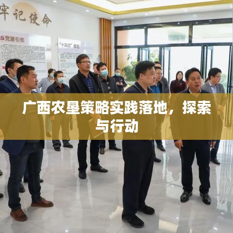 广西农垦策略实践落地，探索与行动