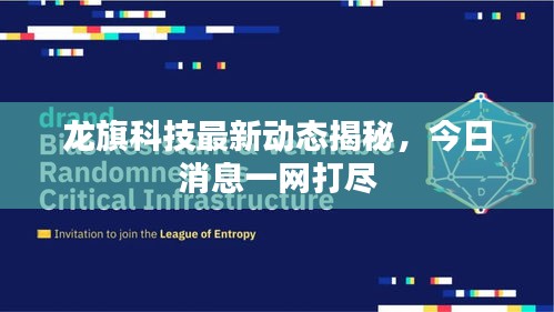 龙旗科技最新动态揭秘，今日消息一网打尽
