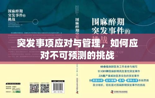 突发事项应对与管理，如何应对不可预测的挑战