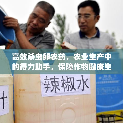 高效杀虫卵农药，农业生产中的得力助手，保障作物健康生长！