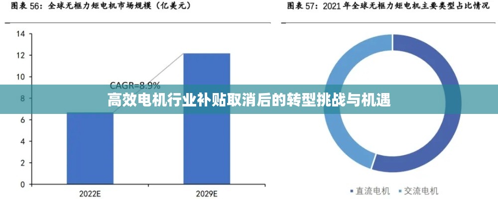 高效电机行业补贴取消后的转型挑战与机遇