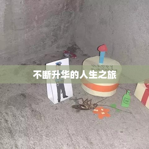 不断升华的人生之旅