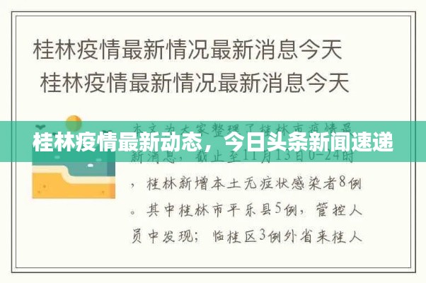 桂林疫情最新动态，今日头条新闻速递