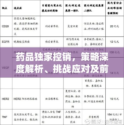 药品独家控销，策略深度解析、挑战应对及前景展望