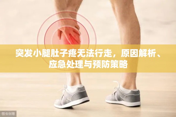 突发小腿肚子疼无法行走，原因解析、应急处理与预防策略