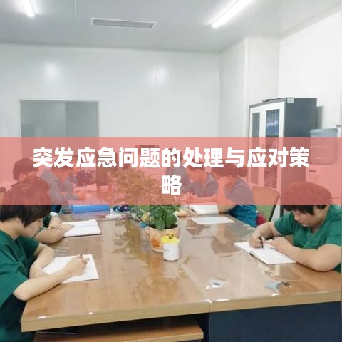突发应急问题的处理与应对策略