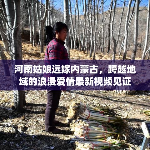 河南姑娘远嫁内蒙古，跨越地域的浪漫爱情最新视频见证