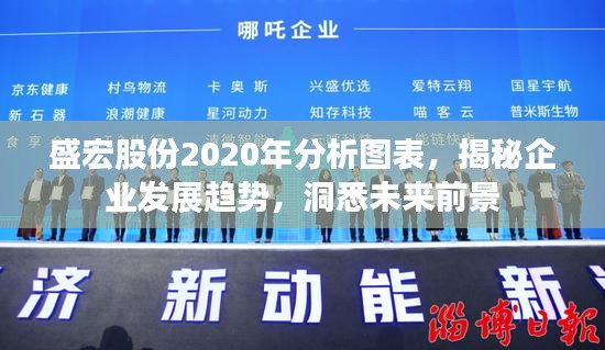 盛宏股份2020年分析图表，揭秘企业发展趋势，洞悉未来前景
