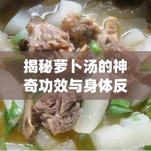 揭秘萝卜汤的神奇功效与身体反应，为何引发频繁放屁现象？