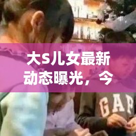 大S儿女最新动态曝光，今日热议话题！