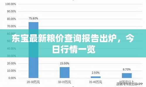 东宝最新粮价查询报告出炉，今日行情一览