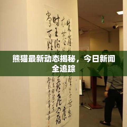 熊猫最新动态揭秘，今日新闻全追踪
