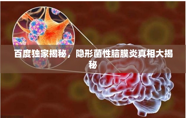 百度独家揭秘，隐形菌性脑膜炎真相大揭秘