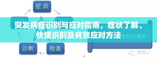 突发病症识别与应对指南，症状了解、快速识别及有效应对方法