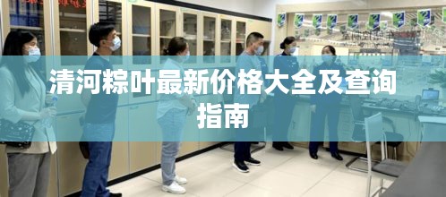 清河粽叶最新价格大全及查询指南