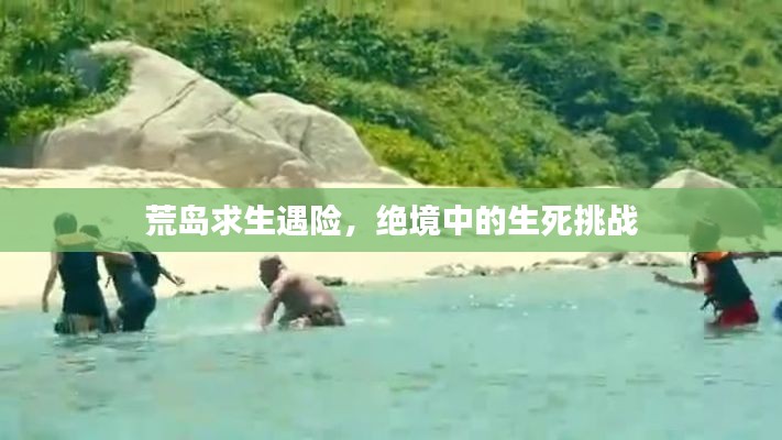 荒岛求生遇险，绝境中的生死挑战