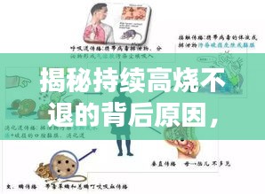 揭秘持续高烧不退的背后原因，何时人体易陷高热困境？