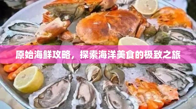 原始海鲜攻略，探索海洋美食的极致之旅