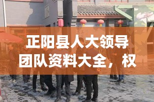 正阳县人大领导团队资料大全，权威数据来源，一网打尽！