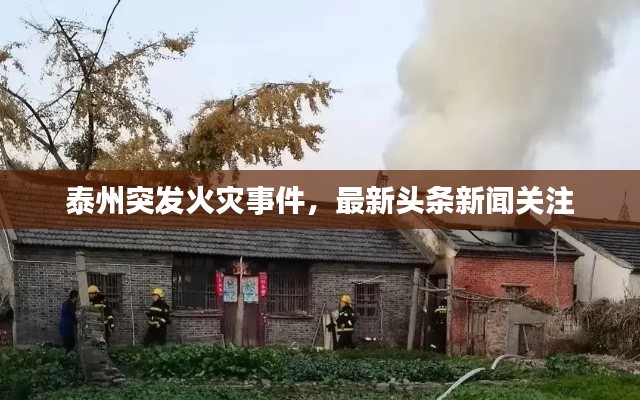 泰州突发火灾事件，最新头条新闻关注