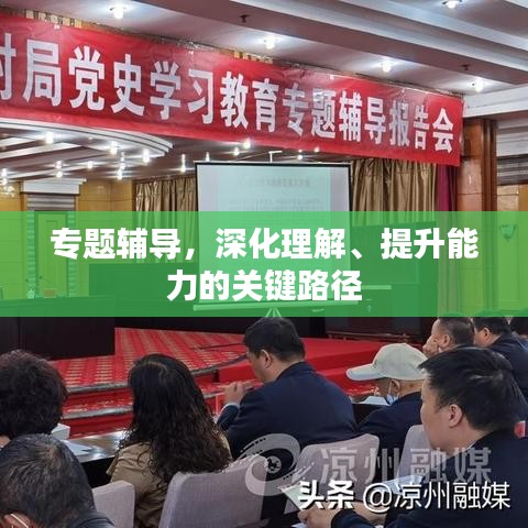专题辅导，深化理解、提升能力的关键路径