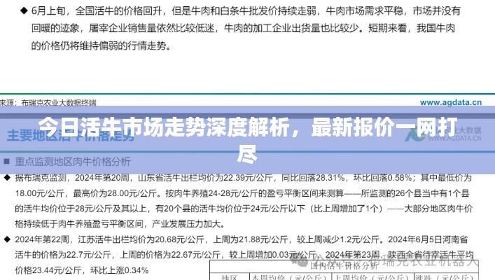 今日活牛市场走势深度解析，最新报价一网打尽